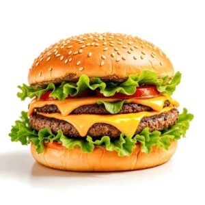 burger ( regular, chesse, panner, panner tikka, panner double chesse burger)